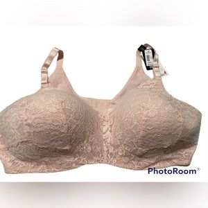 Susan B Colman torrid bra